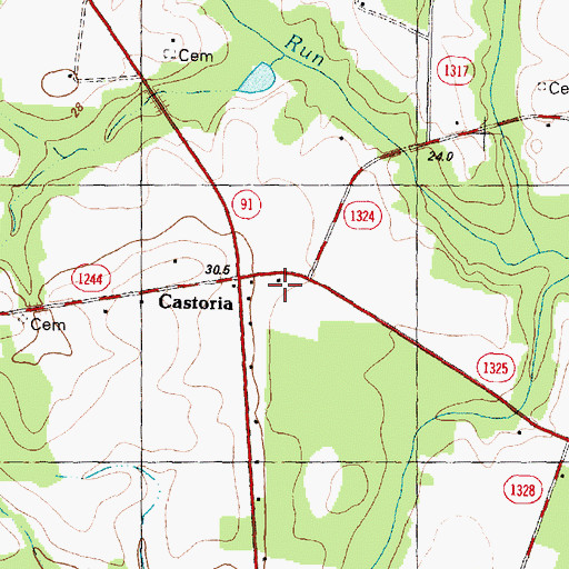 Topographic Map of Castoria, NC