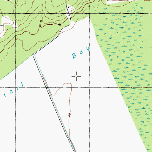 Topographic Map of Cattail Bay, NC