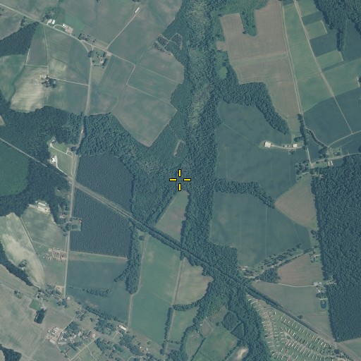 Aerial/Satellite Image of Chapel Branch, NC