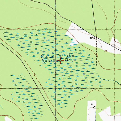 Topographic Map of Curve of the Railroad Bay, NC