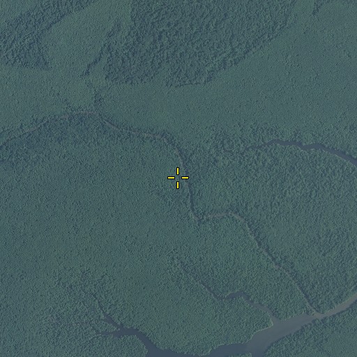 Aerial/Satellite Image of Cut Cypress Creek, NC