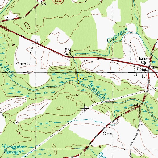 Topographic Map of Cypress Swamp, NC