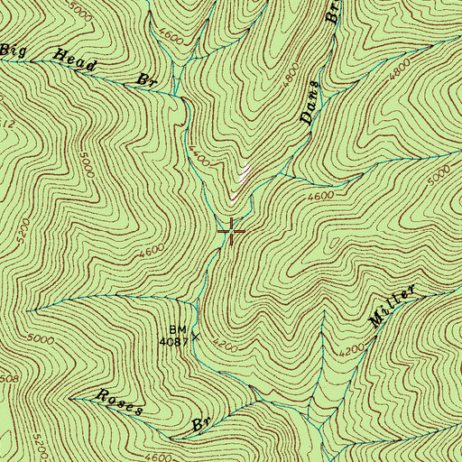 Topographic Map of Dans Branch, NC