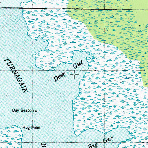 Topographic Map of Deep Gut, NC