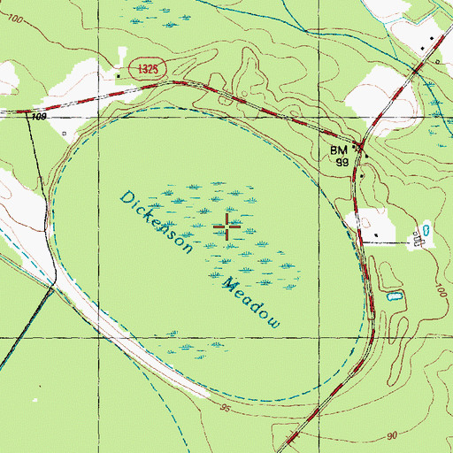 Topographic Map of Dickenson Meadow, NC