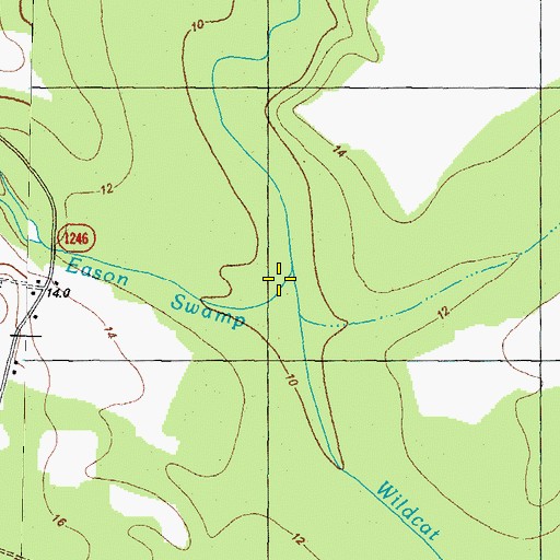 Topographic Map of Eason Swamp, NC