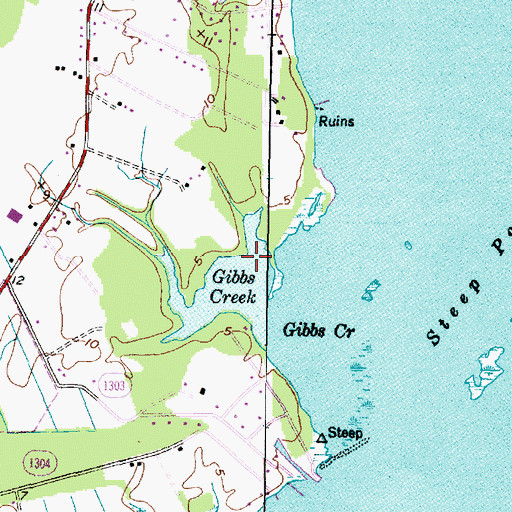 Topographic Map of Gibbs Creek, NC