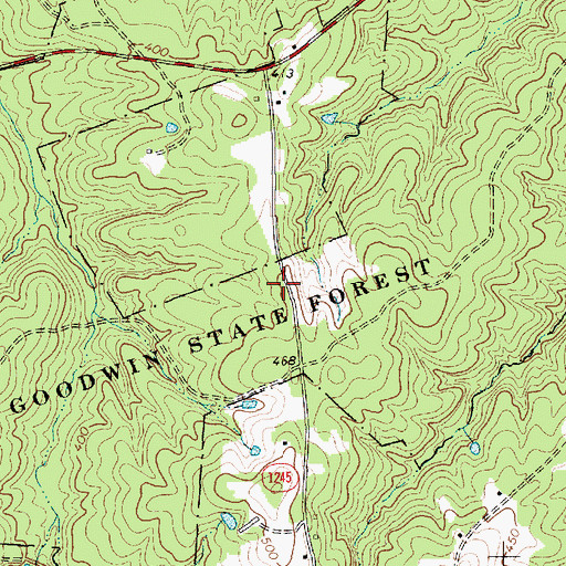 Topographic Map of Goodwin State Forest, NC