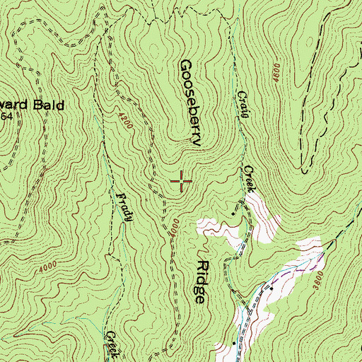 Topographic Map of Gooseberry Ridge, NC
