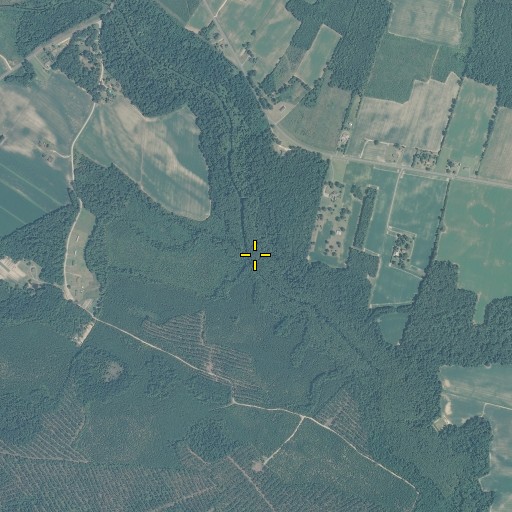 Aerial/Satellite Image of Gum Branch, NC