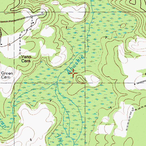 Topographic Map of Hoggard Swamp, NC