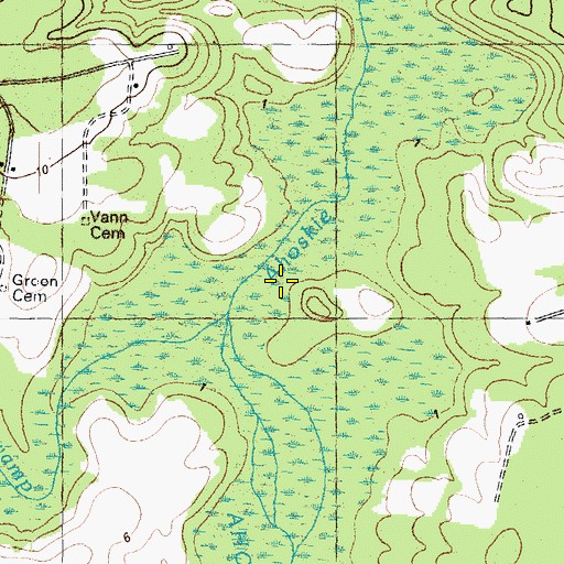 Topographic Map of Hoggard Swamp, NC