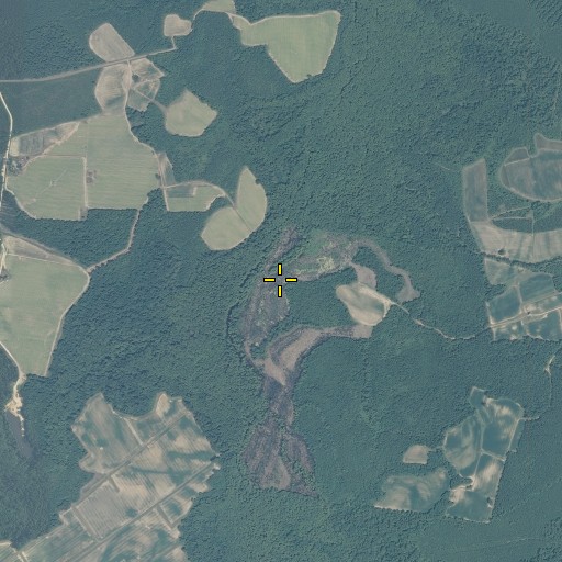 Aerial/Satellite Image of Hoggard Swamp, NC
