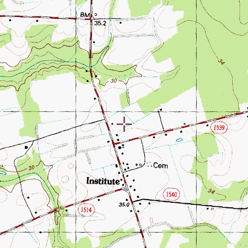 Topographic Map of Institute, NC
