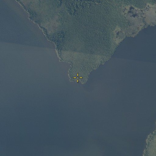 Aerial/Satellite Image of Lake Point, NC