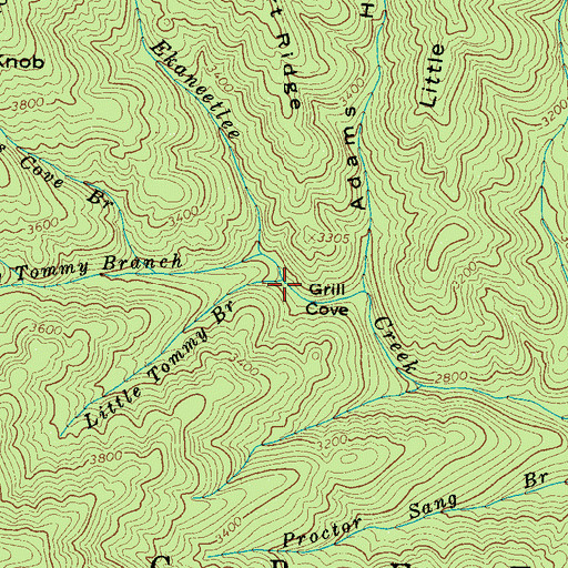 Topographic Map of Little Tommy Branch, NC