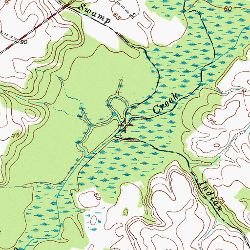 Topographic Map of Marsh Swamp, NC