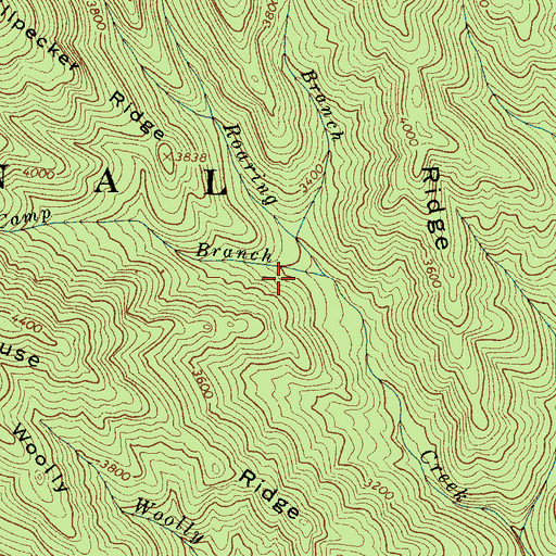Topographic Map of Mineral Gap Branch, NC