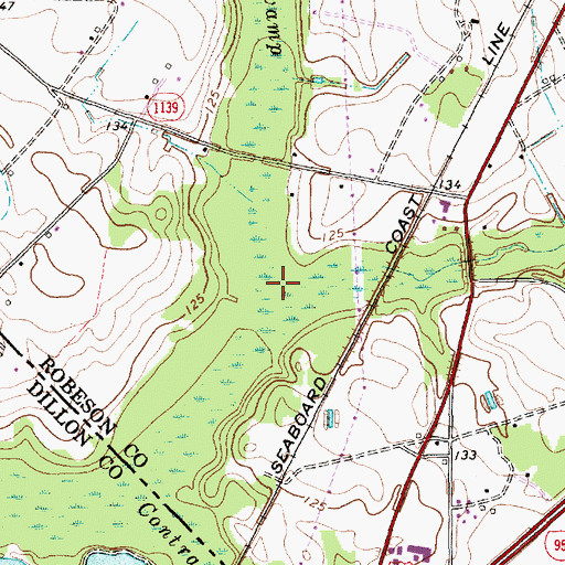 Topographic Map of Mitchell Swamp, NC