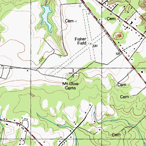 Topographic Map of Mount Olive Cemeteries, NC