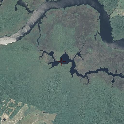 Aerial/Satellite Image of Nellie Bell Ponds, NC