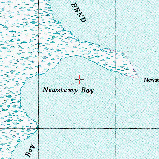 Topographic Map of Newstump Bay, NC