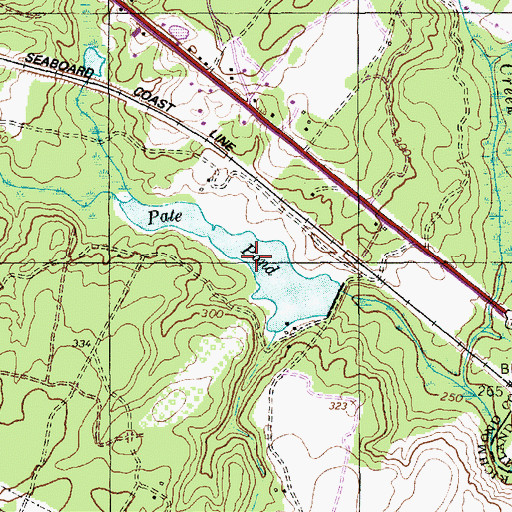 Topographic Map of Pate Pond, NC