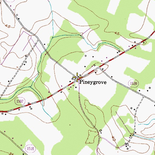 Topographic Map of Pineygrove, NC