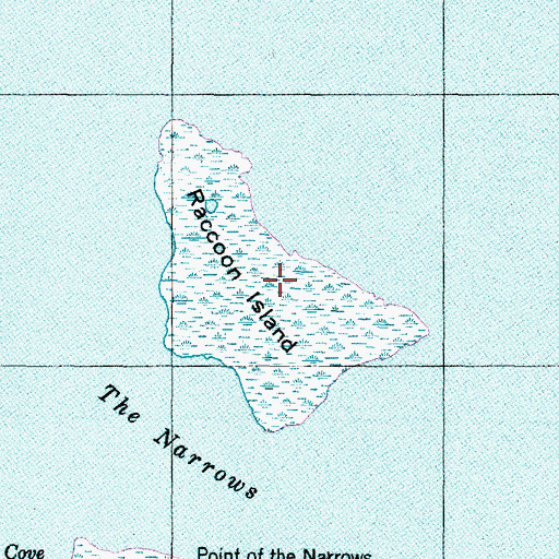 Topographic Map of Raccoon Island, NC