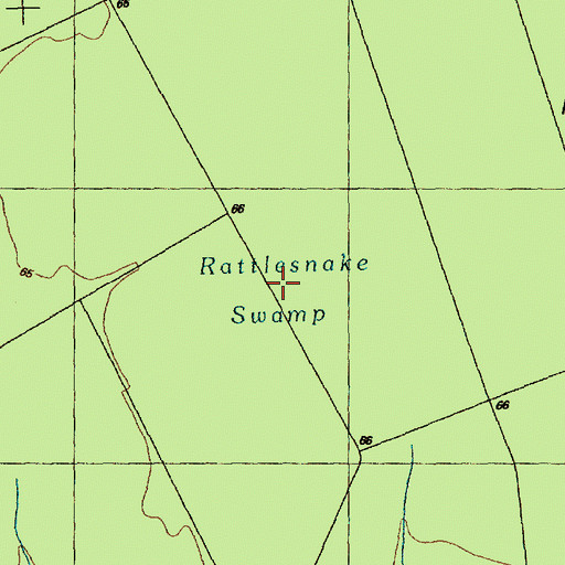 Topographic Map of Rattlesnake Swamp, NC