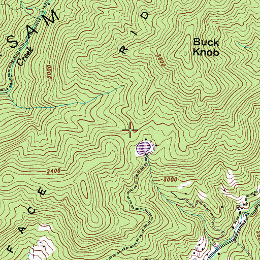 Topographic Map of Rocky Face Ridge, NC