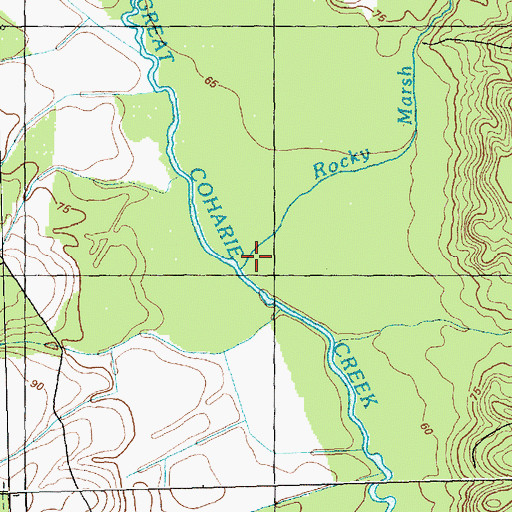 Topographic Map of Rocky Marsh Creek, NC