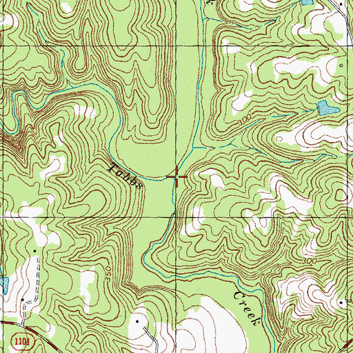 Topographic Map of Ruin Creek, NC