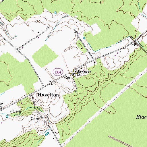 Topographic Map of Savages Church, NC