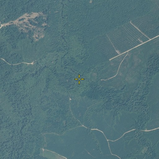 Aerial/Satellite Image of Sharps Lodge, NC