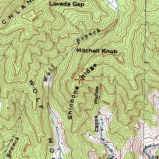 Topographic Map of Shinbone Ridge, NC