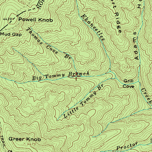 Topographic Map of Thomas Cove Branch, NC