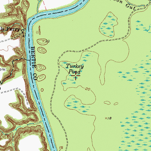 Topographic Map of Turkey Pond, NC