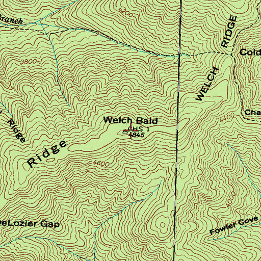 Topographic Map of Welch Bald, NC