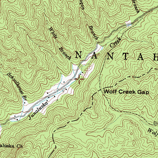Topographic Map of White Branch, NC