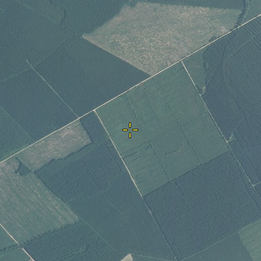 Aerial/Satellite Image of Whiteoak Pocosin, NC