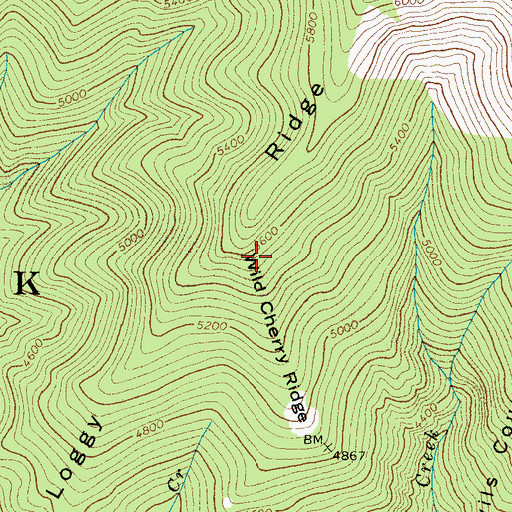 Topographic Map of Wild Cherry Ridge, NC