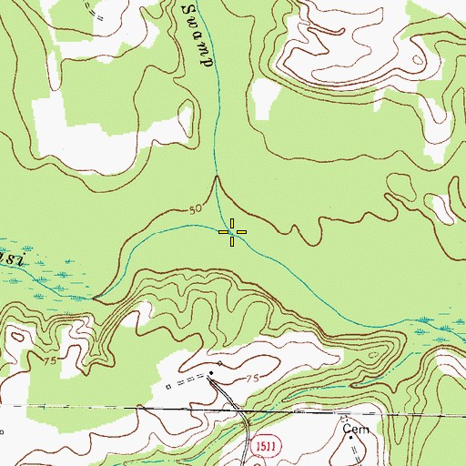 Topographic Map of Wildcat Swamp, NC