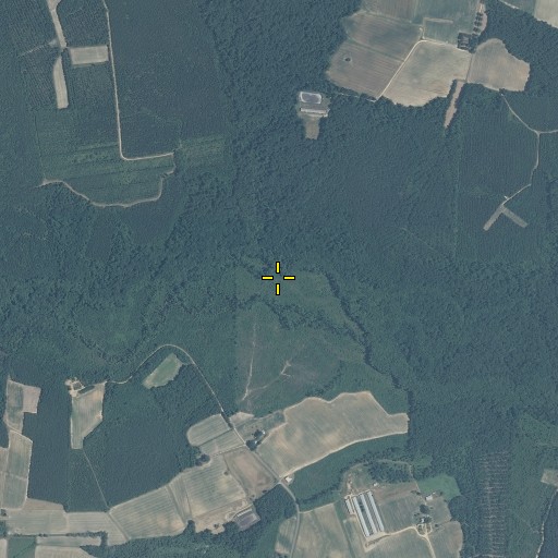 Aerial/Satellite Image of Wildcat Swamp, NC