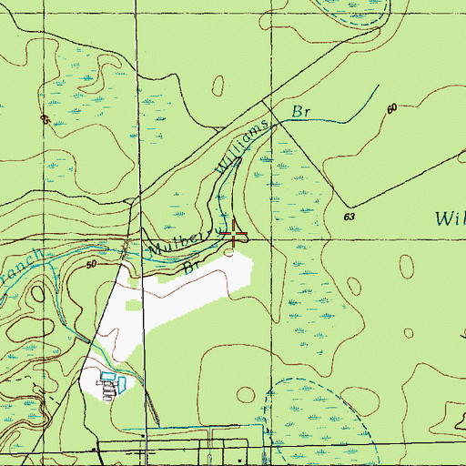 Topographic Map of Williams Branch, NC