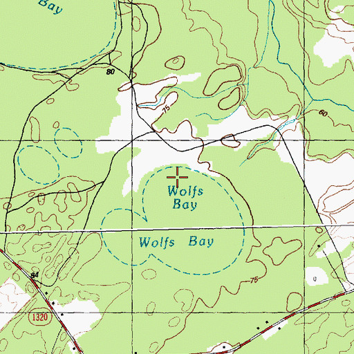 Topographic Map of Wolfs Bay, NC
