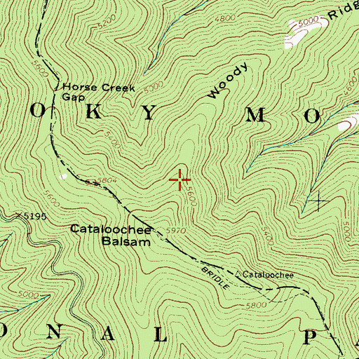 Topographic Map of Woody Ridge, NC